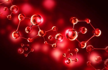 First phase of ex-vivo tests is competed